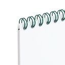 Hojas de papel engarzadas con wire-O verde