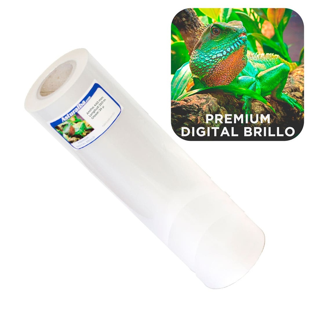 Bobina de plastificar Premium Digital Brillo 24 µ 440 mm x 250 m
