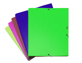 Carpeta clasificadora de 12 separadores verde Colors